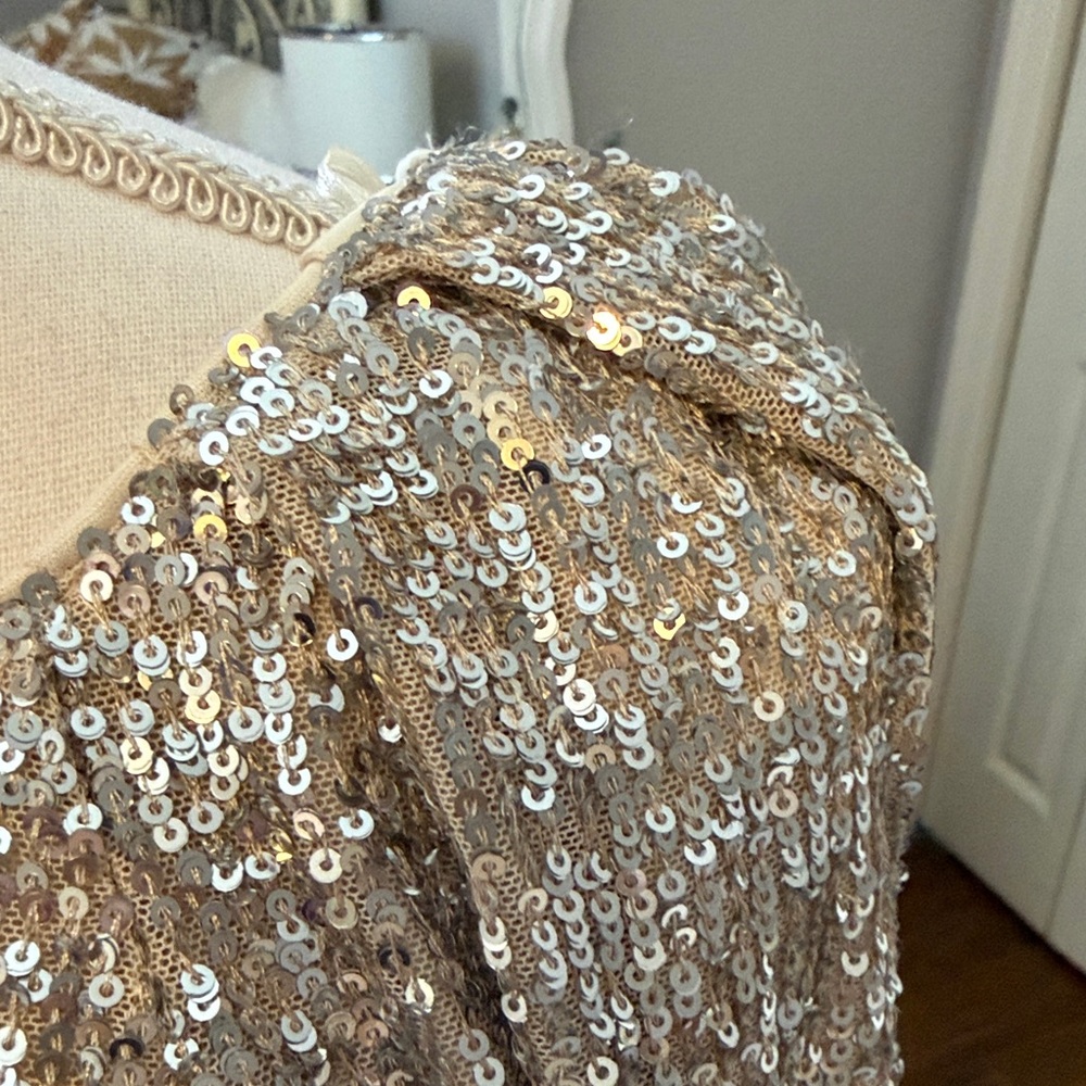Cable & Gauge ❤️ Silver Sequin Statement Top - Sz M NWT - Picture 5 of 11